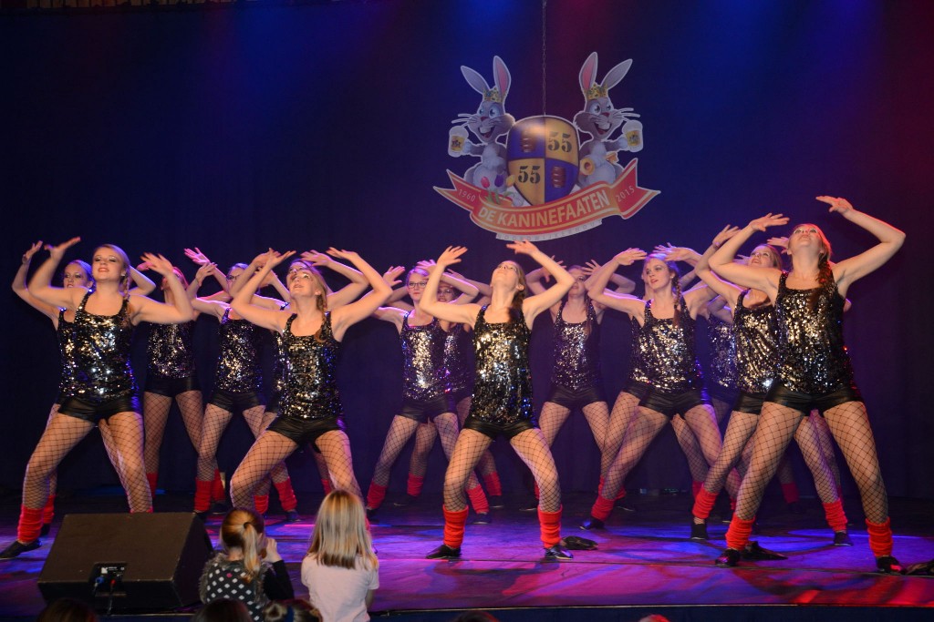 ../Images/Dansmarieke festival 2015 534.jpg